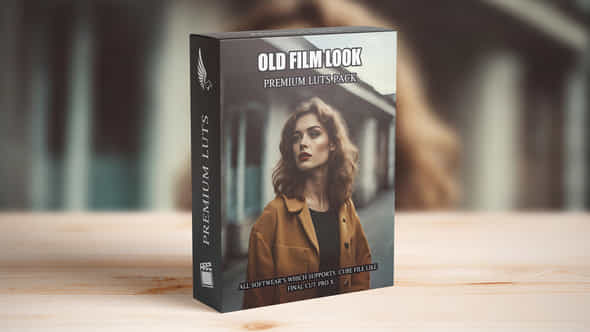 Top Old Cinematic Luts For Creating Vintage Film Effects - VideoHive 52003921