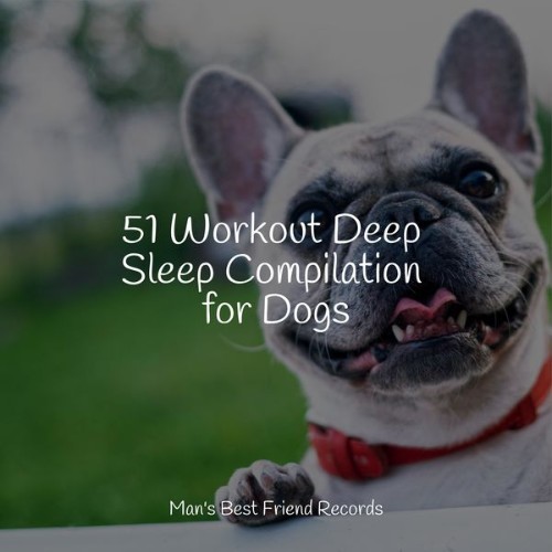 Calm Doggy - 51 Workout Deep Sleep Compilation for Dogs - 2022