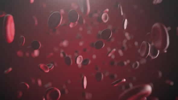 Blood Cell Zoom - VideoHive 33286043