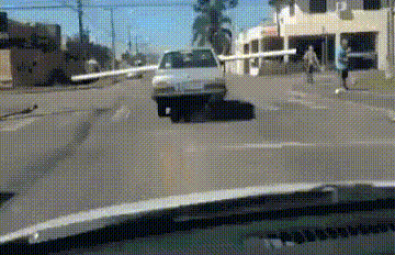 DRIVING WHILE STUPID 2 G3MR2lyK_o
