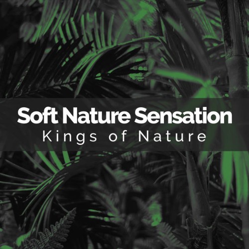 Kings of Nature - Soft Nature Sensation - 2019