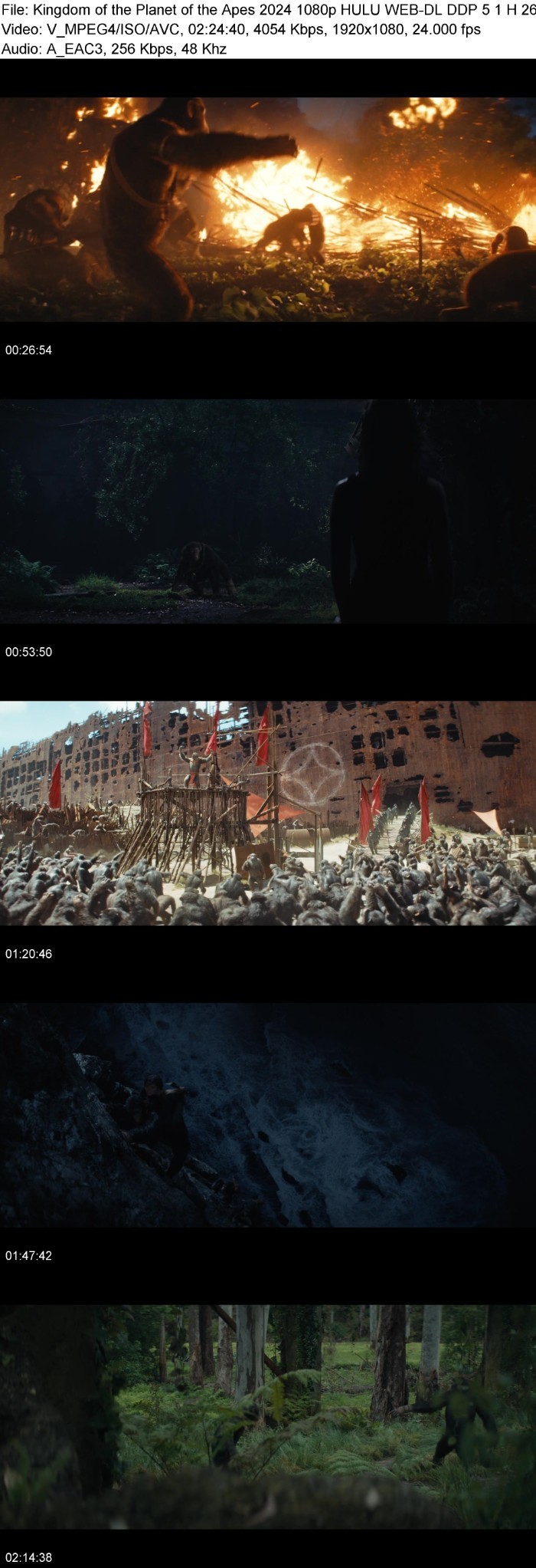 Kingdom of the Planet of the Apes (2024) 1080p HULU WEB-DL DDP 5 1 H 264-PiRaTeS RRkqsOLy_o