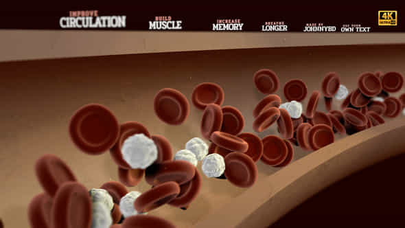 The Blood - VideoHive 33753186
