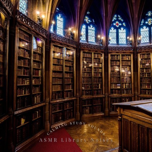 ASMR Library Noises - Calming Study Sounds - 2022