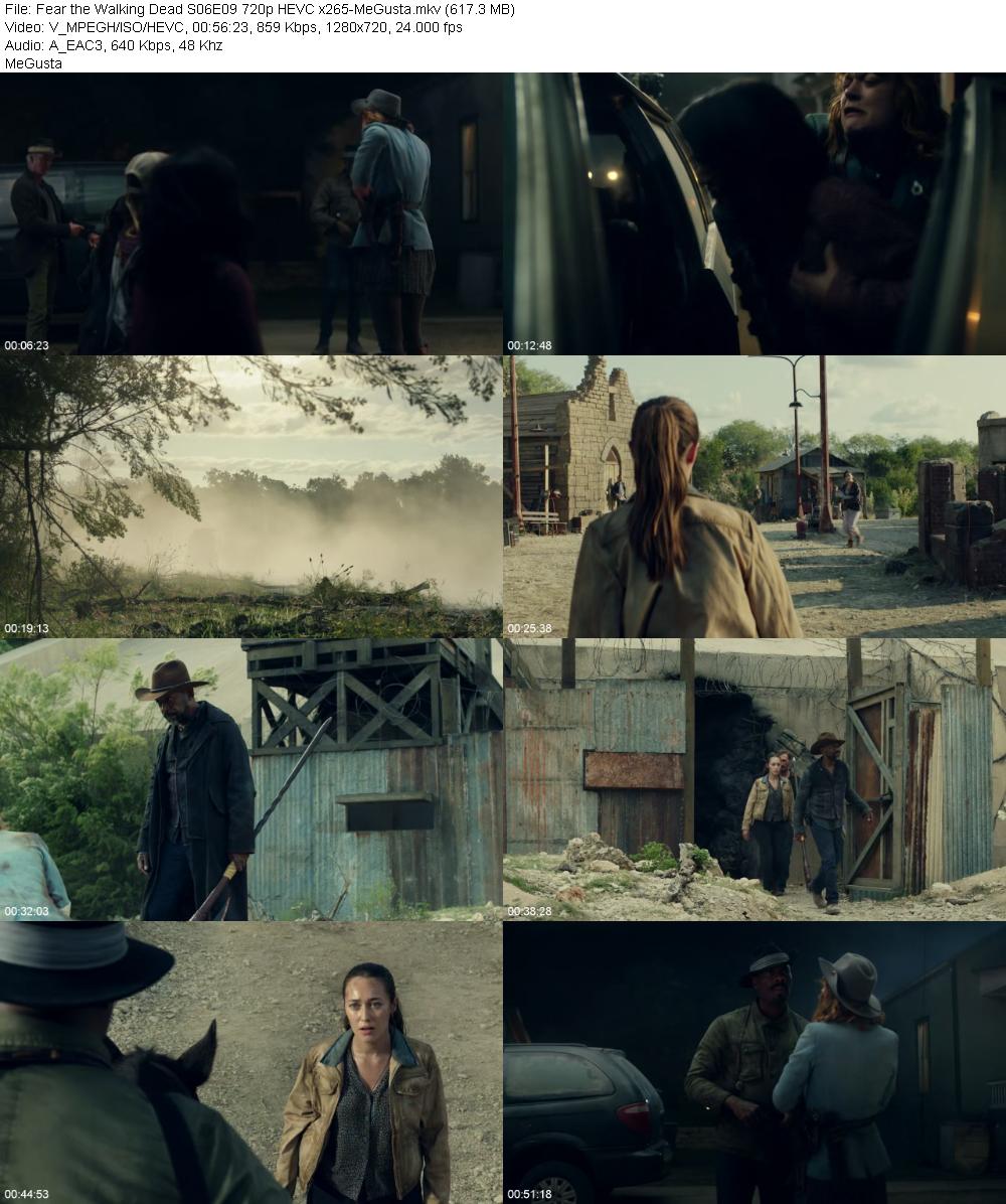 Fear the Walking Dead S06E09 720p HEVC x265