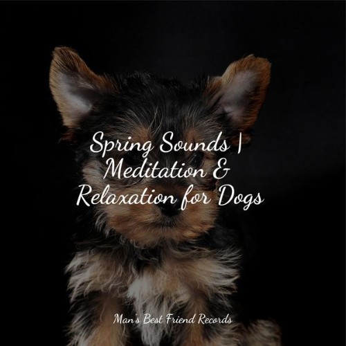 Music for Dog's Ear - Spring Sounds  Meditation & Relaxation for Dogs - 2022