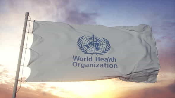 World Health Organization Flag Waving - VideoHive 33592677