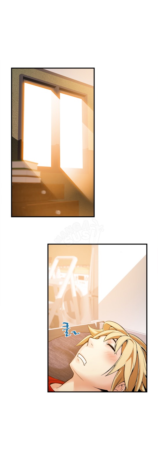 image host