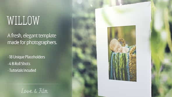 Willow Photo Gallery - VideoHive 5373922