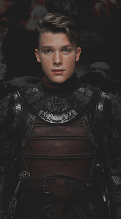 Erwin Lannister*