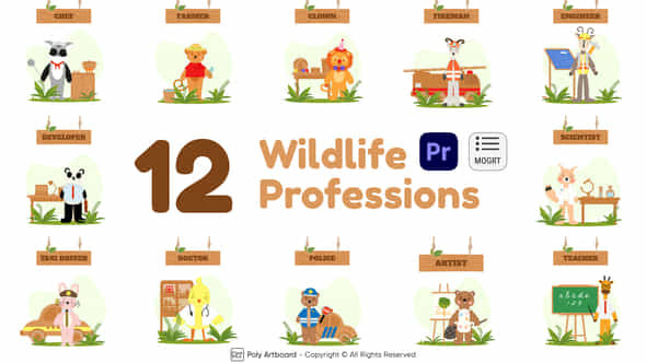 Wildlife Professions - VideoHive 47742736