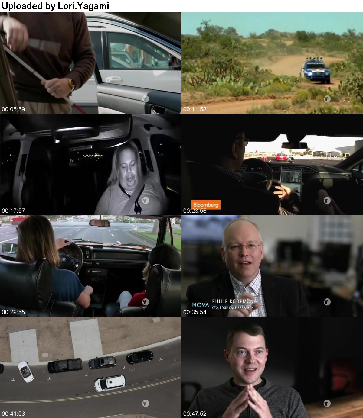 NOVA S46E18 Look Whos Driving HDTV x264-W4F