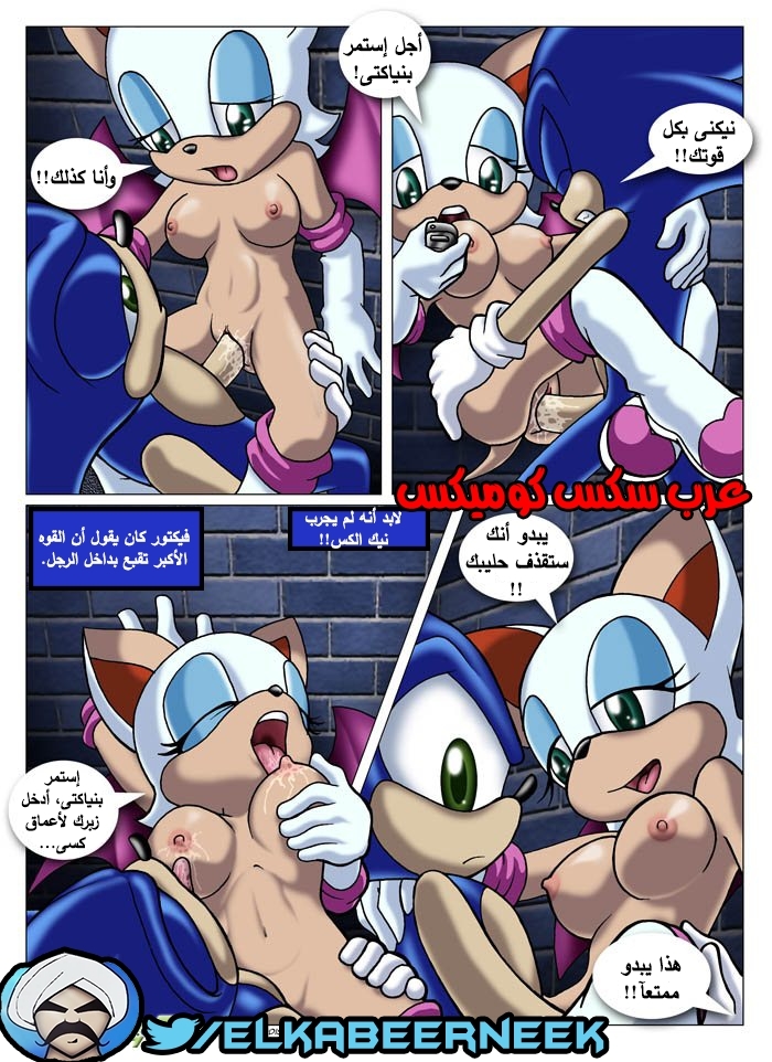 315 سونيك والبحث عن إيمى