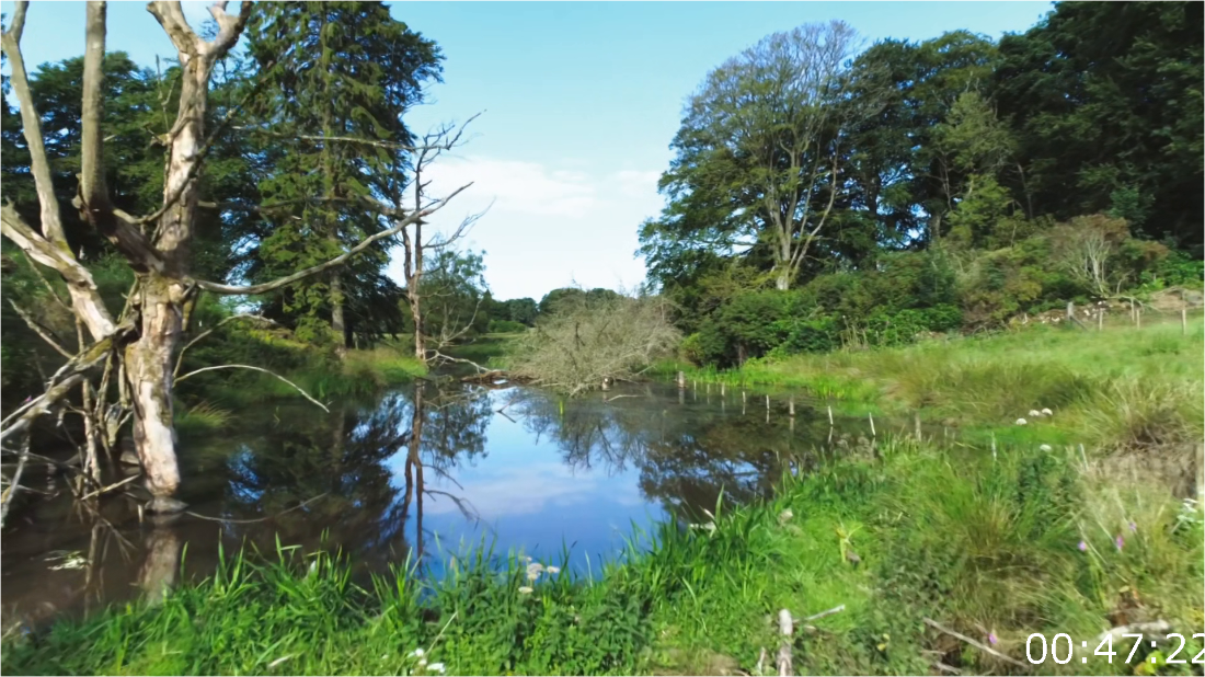 BBC The River A Year In The Life Of The Tay [1080p] HDTV (x265) BkUa22dY_o