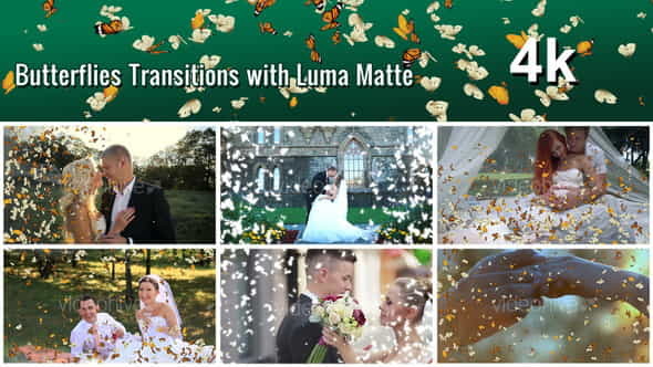 Butterflies Transition with Luma Matte - VideoHive 22449464