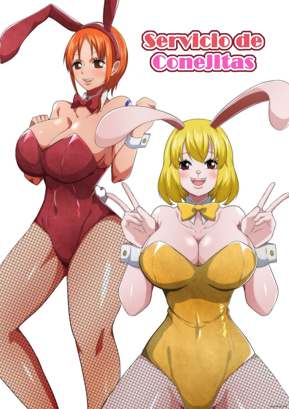 Bunny Service (One Piece)