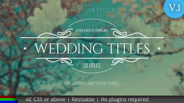 Wedding Titles - VideoHive 19995952