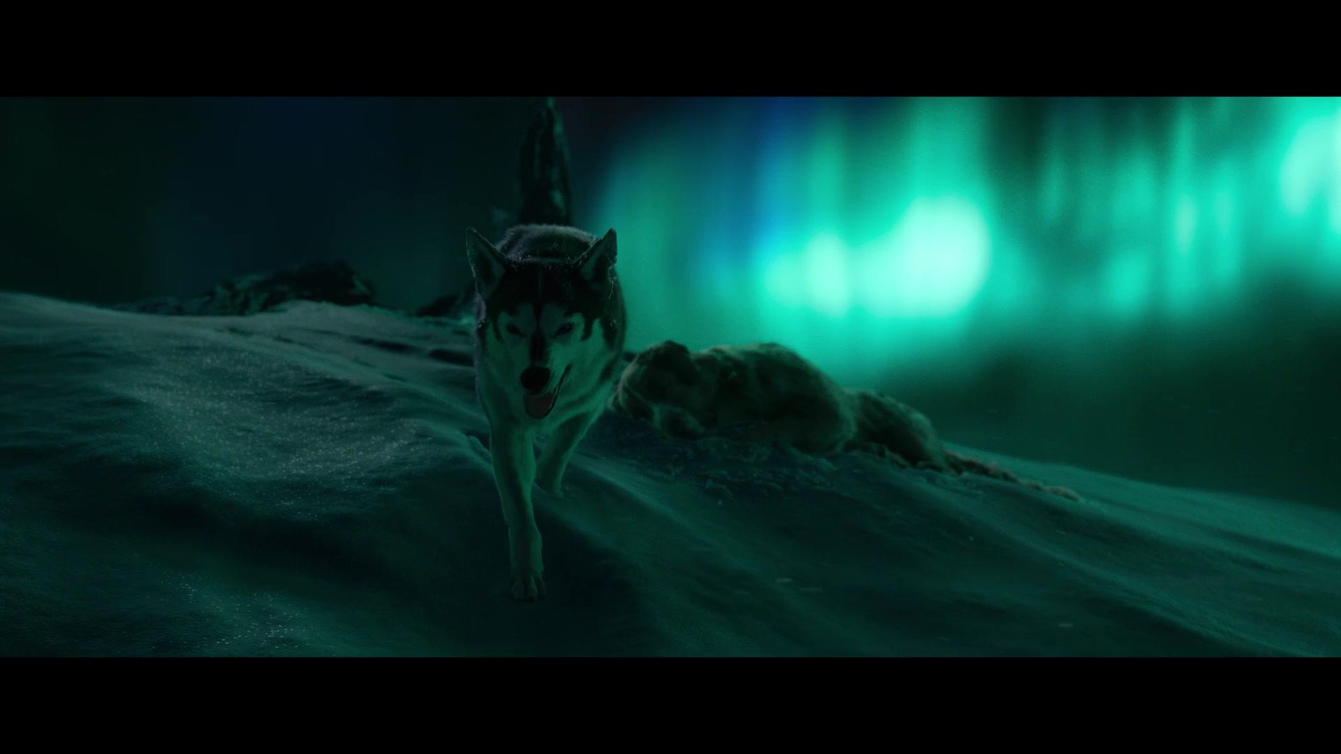 The Call of the Wild 1080p WEB-DL DD5 1 H 264-EVO The Call of the Wild 1080p WEB-DL DD5 1 H 264-EVO