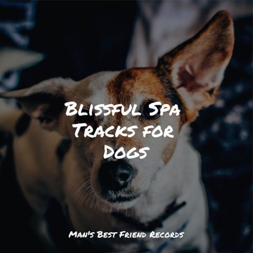 Sleepy Dogs - Blissful Spa Tracks for Dogs - 2022