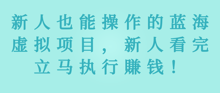 新人也能操作的蓝海虚拟项目，新人看完立马执行賺钱！