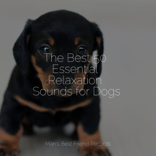 Dog Music Club - The Best 50 Essential Relaxation Sounds for Dogs - 2022