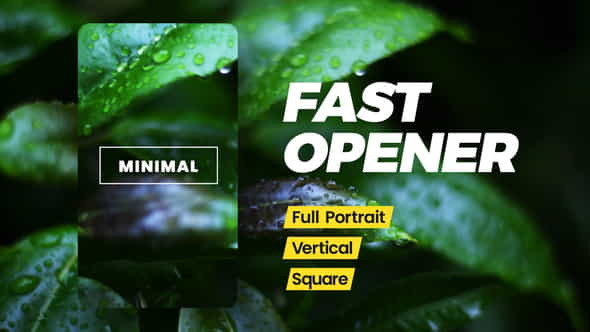 Instagram Fast Opener - VideoHive 30950884