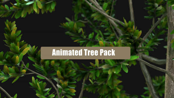Animated Tree Pack - VideoHive 28600653