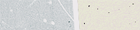 Pas de nouveaux messages Pas de nouveaux messages