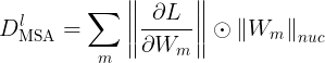 large D_{text{MSA}}^{l} = sum_{m} left | frac{partial L}{partial W_m} right | odot left | W_m right |_{nuc}
