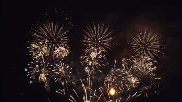 Firework Celebration(Stock Footage) - VideoHive 29129334