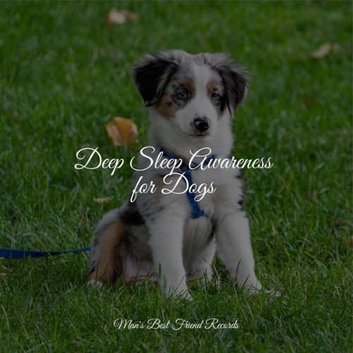Calm Doggy - Deep Sleep Awareness for Dogs - 2022