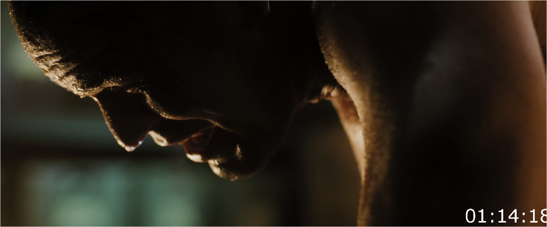 Max Payne (2008) UNRATED [1080p/720p] BluRay (x265) [6 CH] LtlPfF0h_o