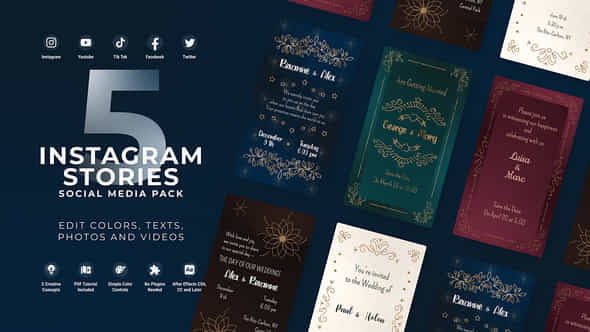 Wedding Invitation Instagram Vertical Stories - VideoHive 49825058