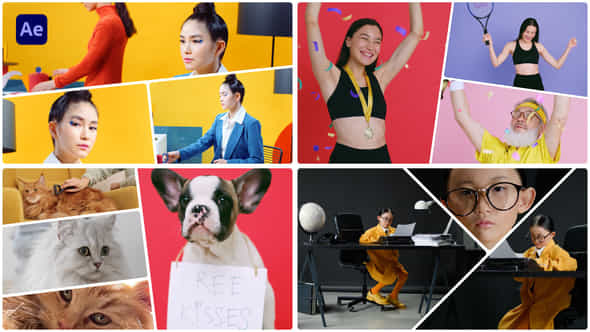 Multi Screen - - VideoHive 47380597