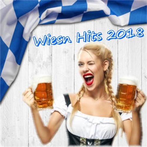 Die Stimmungsgaranten - Wiesn Hits 2018 - 2018