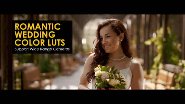 Romantic Wedding Color - VideoHive 48367457