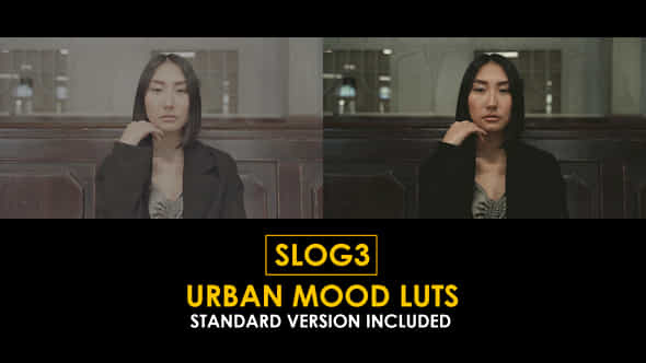 Slog3 Urban Mood And Standard Luts - VideoHive 51100822