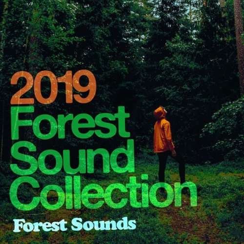 Forest Sounds - 2019 Forest Sound Collection - 2019