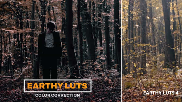 LUTs Earthy - VideoHive 43400280