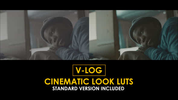 Vlog Cinematic Look And Standard Color Luts - VideoHive 51378174