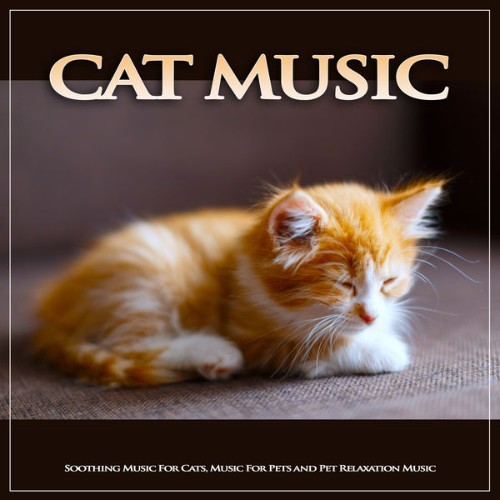 Cat Music - Cat Music Soothing Music For Cats, Music For Pets and Pet Relaxation Music - 2019