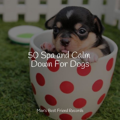 Pet Care Music Therapy - 50 Spa and Calm Down For Dogs - 2022