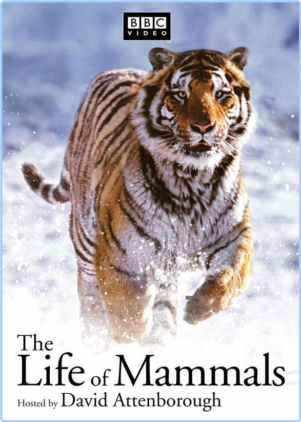 The Life Of Mammals (2002) 10bit DVDRiP (x265) 470vHZjw_o