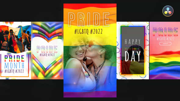 LGBTQ Instagram Stories - VideoHive 35655885
