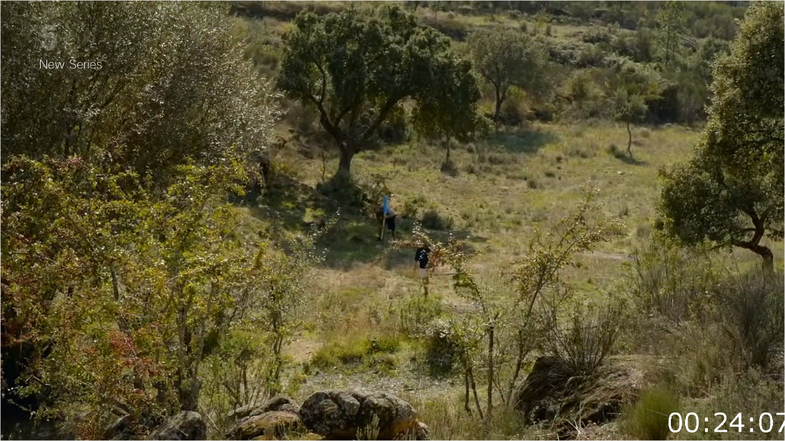 Ben Fogle New Lives In The Wild S18E07 [1080p] (x265) G4ejut1L_o