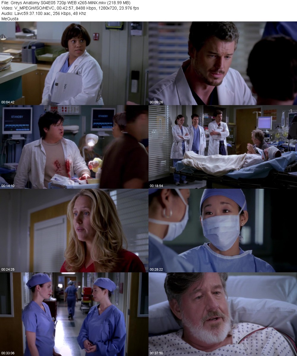 Greys Anatomy S04E05 720p WEB x265-MiNX