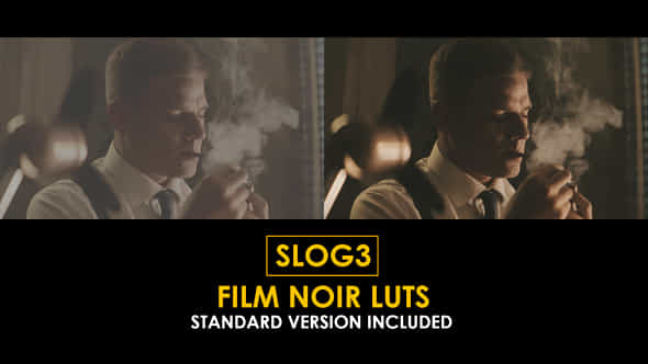 Slog3 Film Noir Luts And Standard Luts - VideoHive 51044400