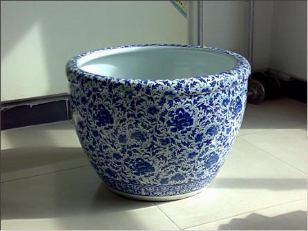 荷花缸B