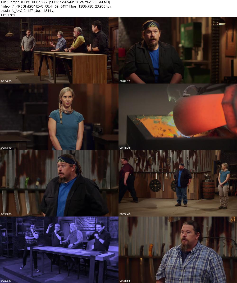 Forged in Fire S08E16 720p HEVC x265