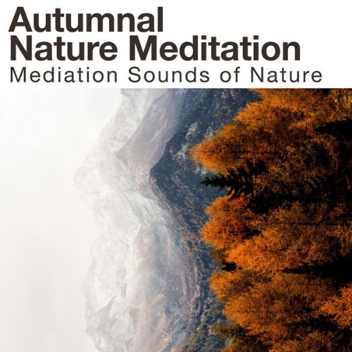 Mediation Sounds of Nature - Autumnal Nature Meditation - 2019